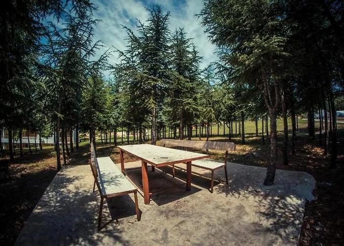 With View * Свети Влас