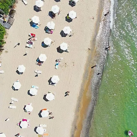 Apartament With View