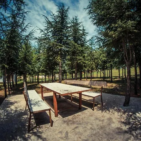 With View * Święty Włas